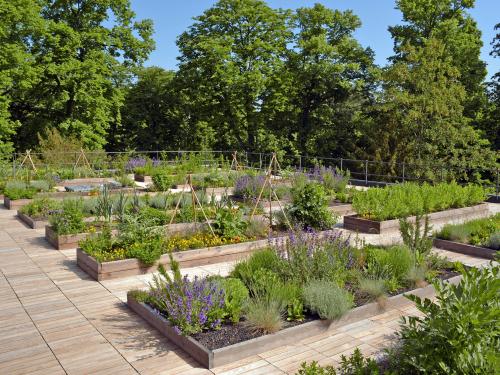 Vegetable and herb plots on a rooftop with wooden decking